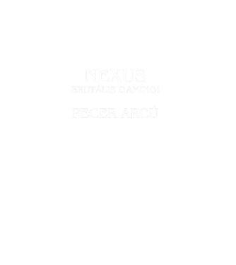 Nexus Gaming pecer arcú minta fekete pólón