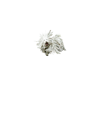 Puli Is Not a Dog (w-d) minta farmerkék pólón
