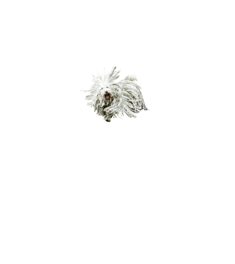 Puli Is Not a Dog (w-d) minta fekete pólón