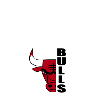 Chicago Bulls minta sötétkék pólón