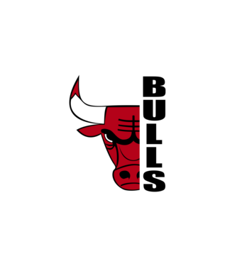Chicago Bulls minta királykék pólón