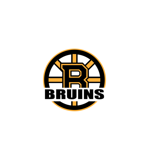 Boston Bruins minta szürke pólón
