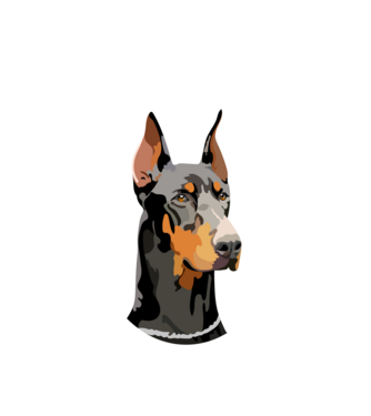 Dobermann minta fehér pólón