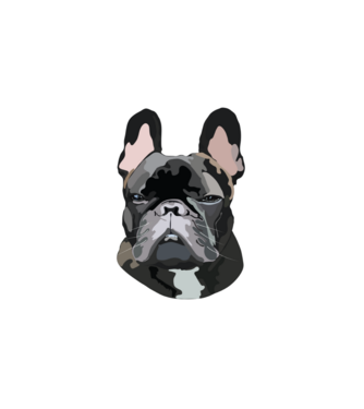 Francia Bulldog minta fehér pólón