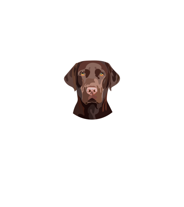 Labrador barna minta fehér pólón