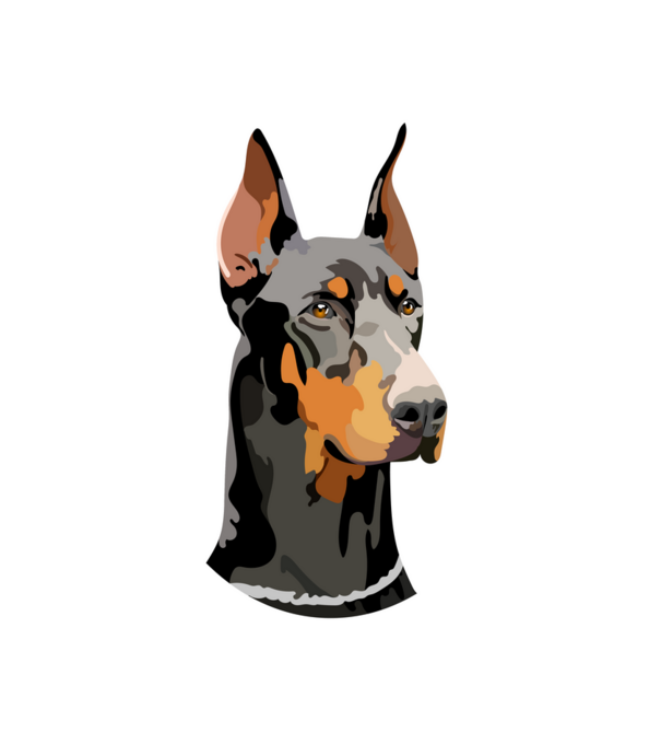 Dobermann minta fehér pólón