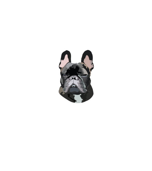 Francia Bulldog minta fekete pólón