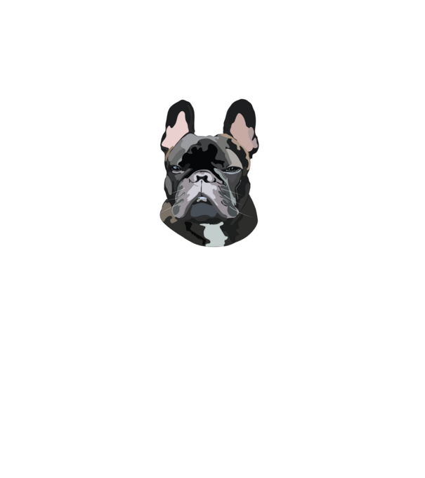 Francia Bulldog minta türkiz pólón