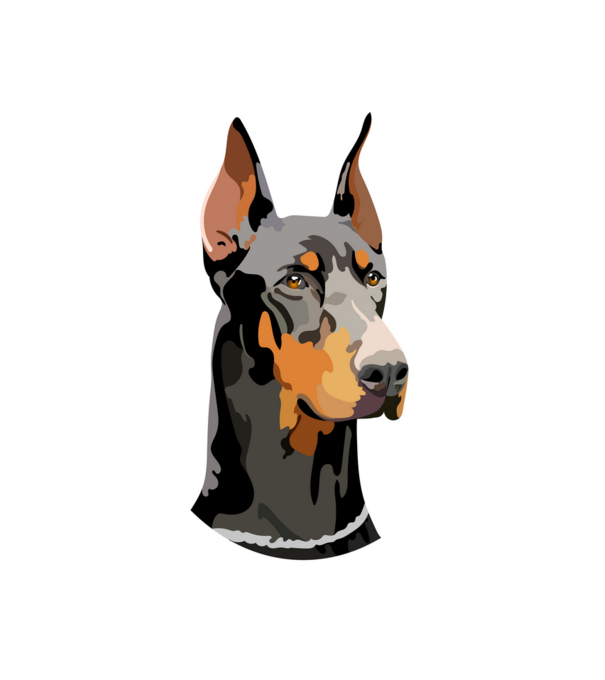 Dobermann minta fehér pólón