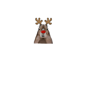 Karácsonyi capybara minta királykék pólón