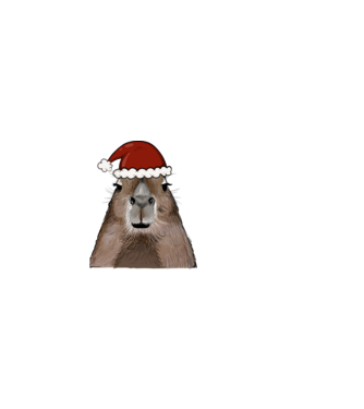 Mikulás Capybara minta világos rózsaszín pólón