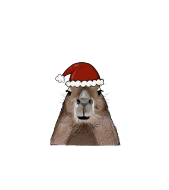 Mikulás Capybara minta fehér pólón