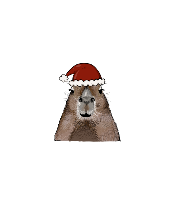 Mikulás Capybara minta fehér pólón