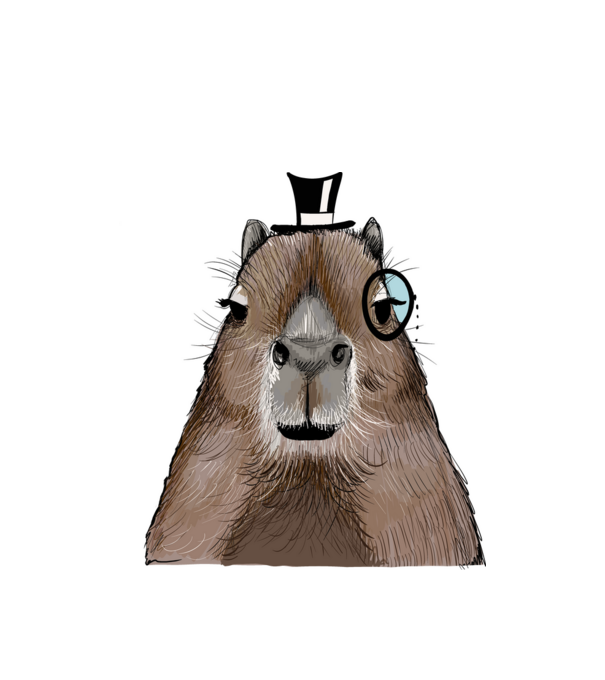 Mösziő Capybara minta fehér pólón