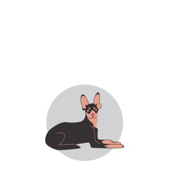 Csivava kutya minta fehér pólón