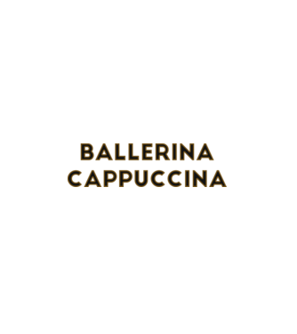 Ballerina cappuccina minta fehér pólón