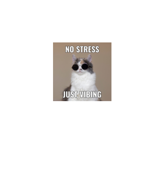 No stressz cica minta fekete pólón