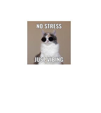 No stressz cica minta fekete pólón