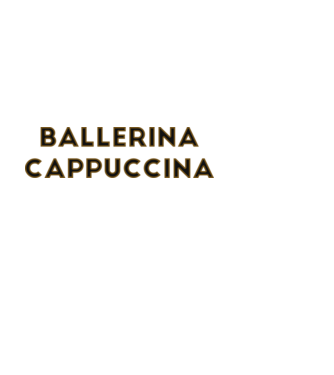 Ballerina cappuccina minta fehér pólón