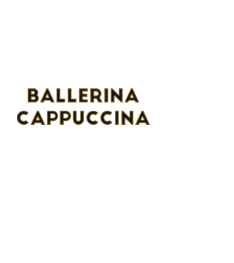 Ballerina cappuccina minta fekete pólón