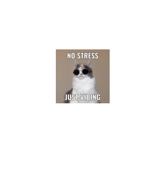 No stressz cica minta fekete pólón