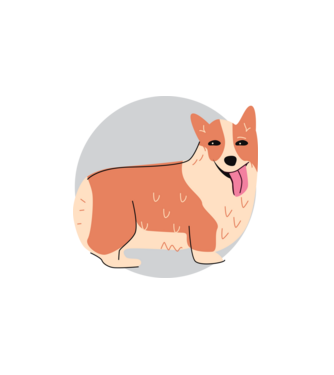 Corgi Kutya minta fehér pólón