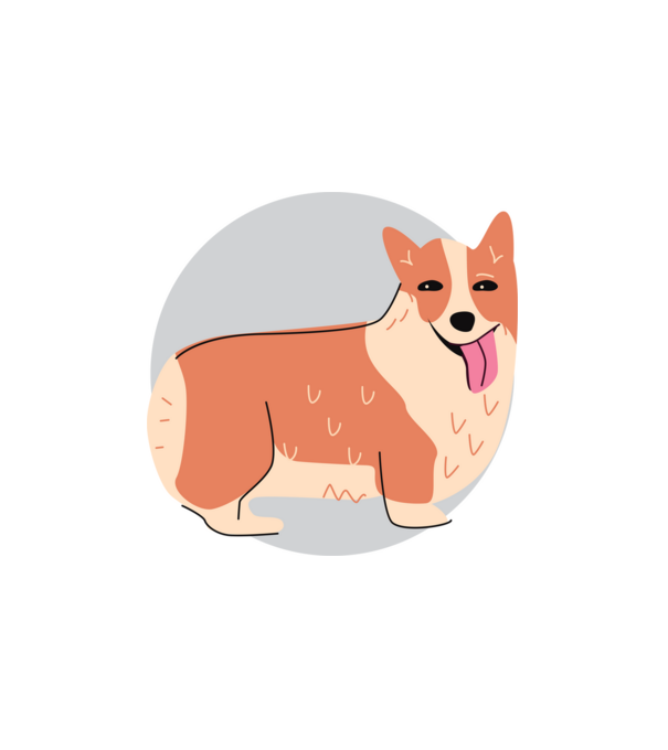 Corgi Kutya minta fehér pólón