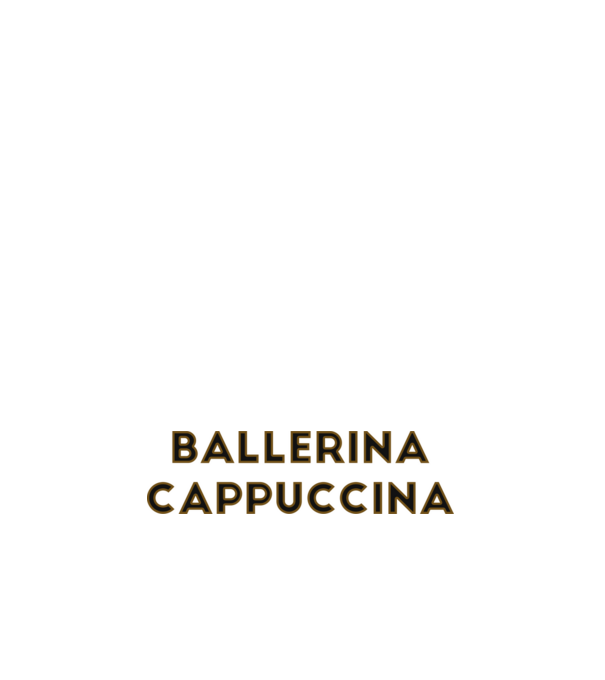 Ballerina cappuccina minta világos rózsaszín pólón