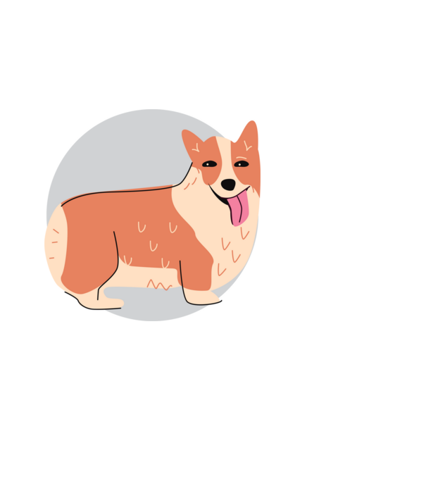 Corgi Kutya minta fekete pólón