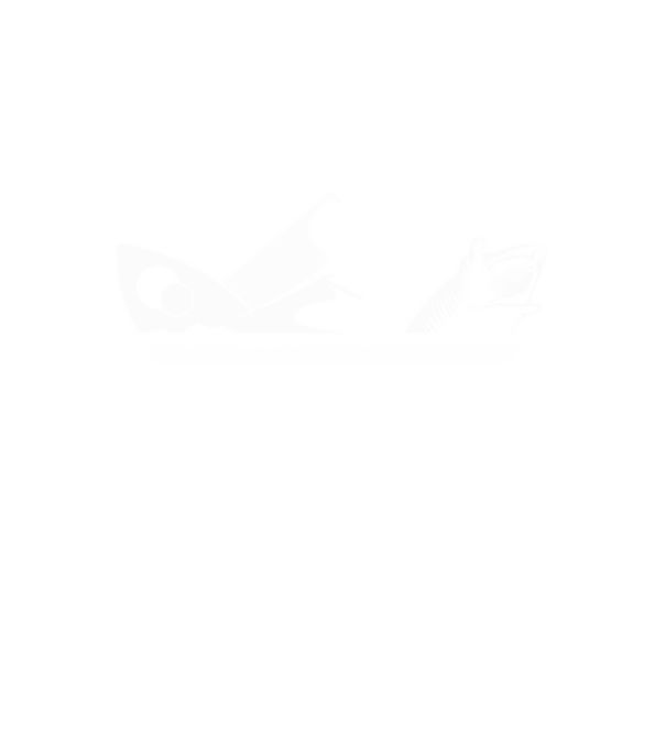 Arrakis minta fehér pólón