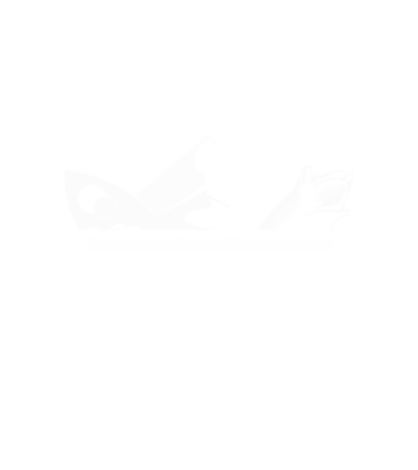 Arrakis minta fehér pólón