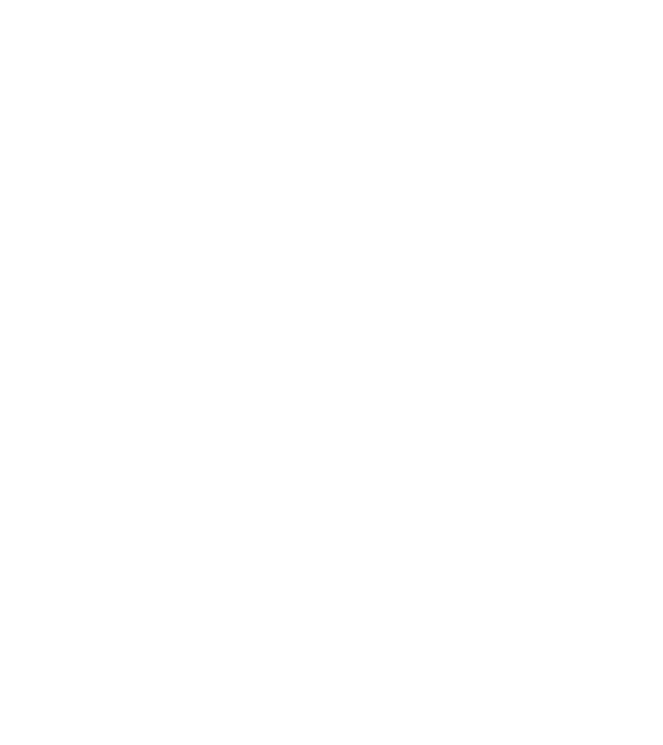 alpha minta szürke pólón