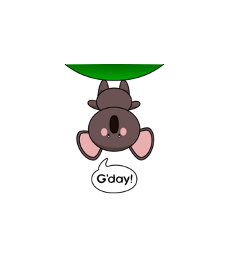 G'day - Aranyos Koala Ausztráliából minta fehér pólón