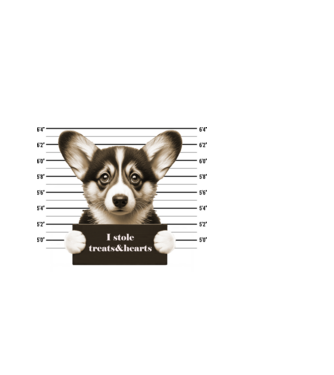corgi_bűntett minta világoskék pólón