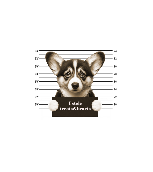corgi_bűntett minta fehér pólón