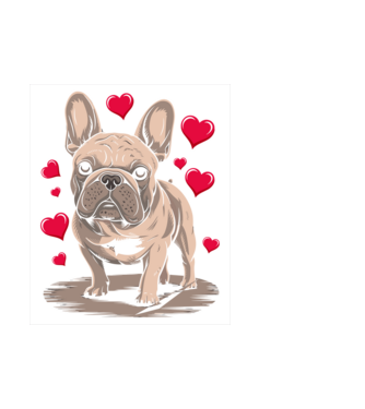 Mr French Bulldog minta fehér pólón