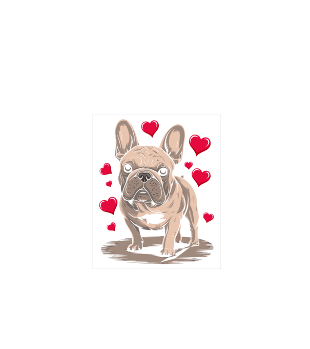 Mr French Bulldog minta fekete pólón