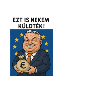 EU-s pénzek eltüntetője minta világoskék pólón
