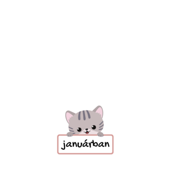 A legjobb cicagazdik januárban születtek minta fekete pólón