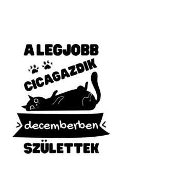 A legjobb cicagazdik decemberben születtek minta fekete pólón