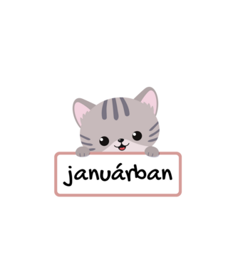 A legjobb cicagazdik januárban születtek minta fekete pólón