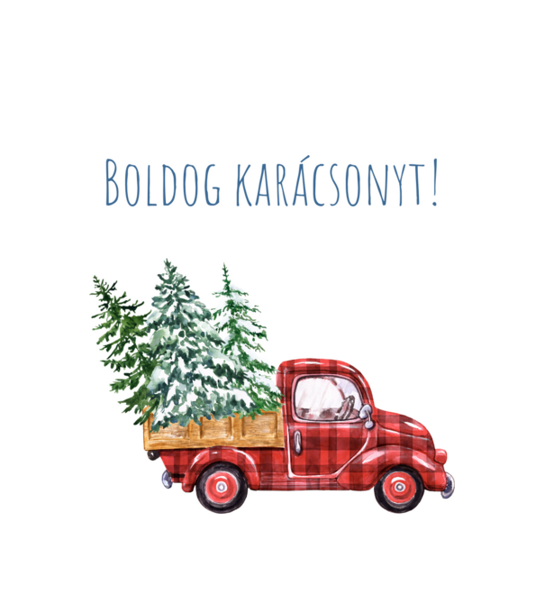 Boldog Karácsonyt autó minta fehér pólón