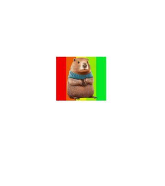 Bober minta fekete pólón