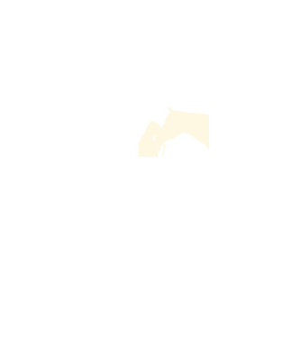 Lovas szív minta fekete pólón