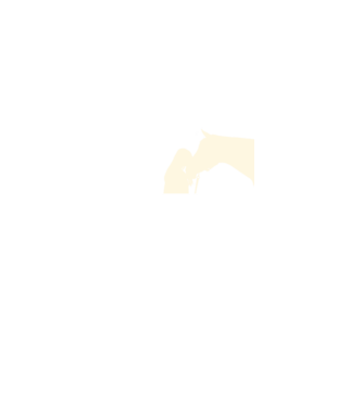 Lovas szív minta fekete pólón