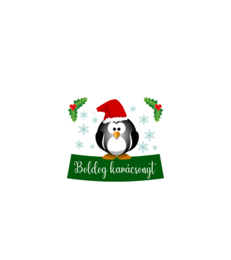 Boldog karácsonyt minta fekete pólón