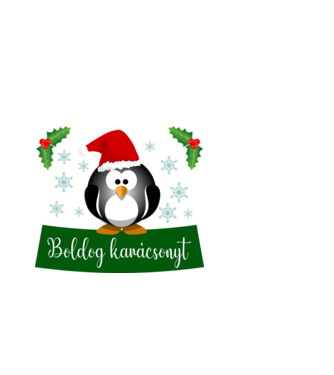 Boldog karácsonyt minta fekete pólón