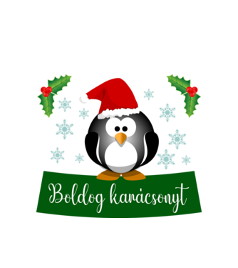 Boldog karácsonyt minta fehér pólón
