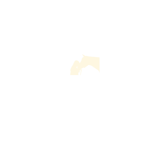 Lovas szív minta farmerkék pólón