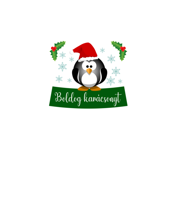 Boldog karácsonyt minta fekete pólón
